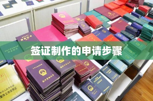 绥阳签证制作的申请步骤